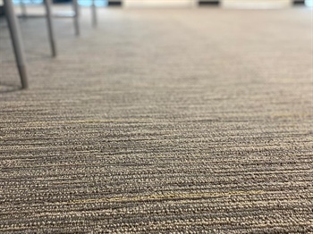 What Carpet is Best for High Traffic Areas?