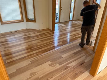 Site-Finished Hickory Floors in a Roseville Remodel