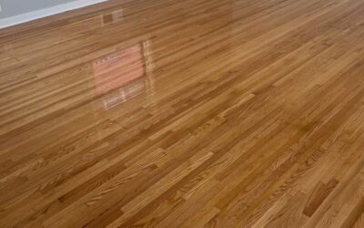 Daily Cleaning Routine for Hardwood Floors: Best Practices and Essential Tools